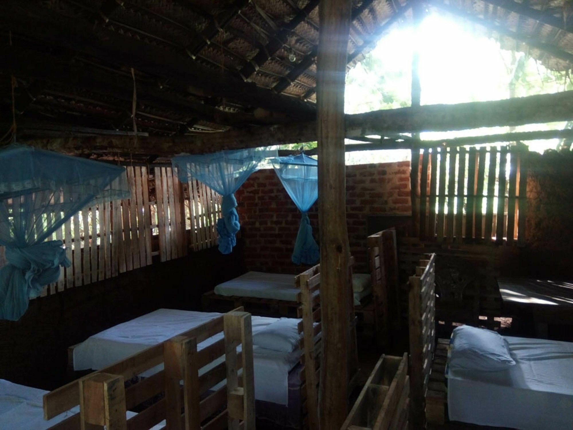 Mango Tree Home Stay & Hostel Sigiriya Exterior photo